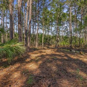 Lot 65 Telfair Plantation