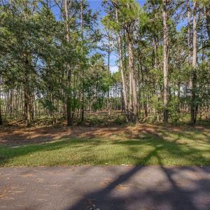 Lot 65 Telfair Plantation