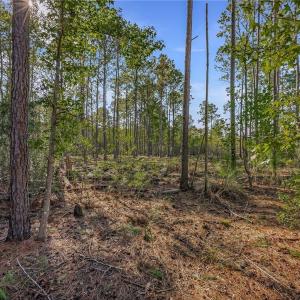 Lot 65 Telfair Plantation