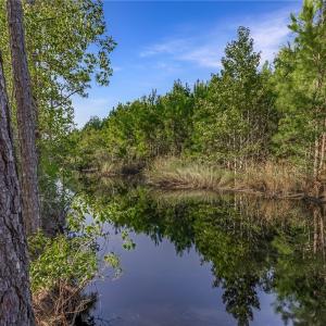 Kayak Trail Adjacent