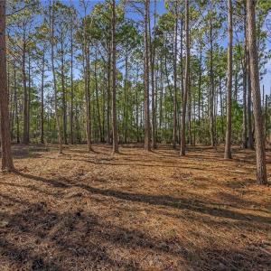 Lot 65 Telfair Plantation