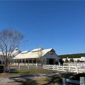 SCAD Equestrian Barn