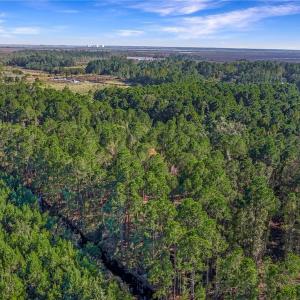 Adjacent Timber Tract