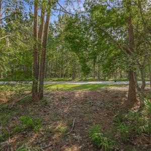 Lot 65 Telfair Plantation