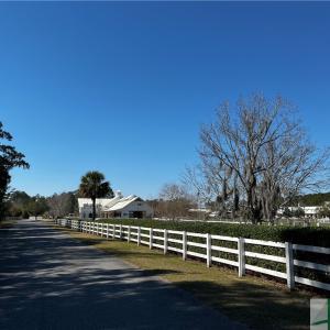 SCAD Equestrian Paddocks