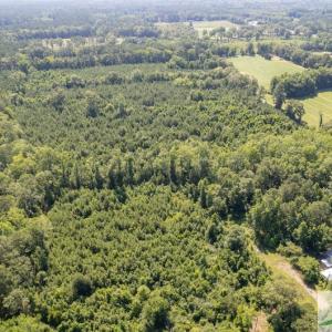 Photo #3 of 408 Meriweather, Ridgeland, SC 13.9 acres