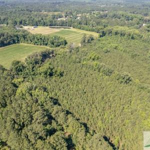 Photo #4 of 408 Meriweather, Ridgeland, SC 13.9 acres