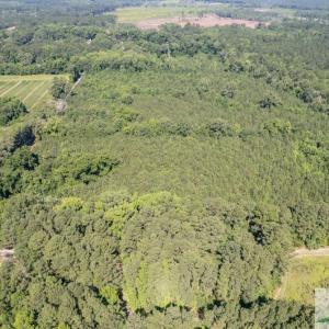Photo #5 of 408 Meriweather, Ridgeland, SC 13.9 acres