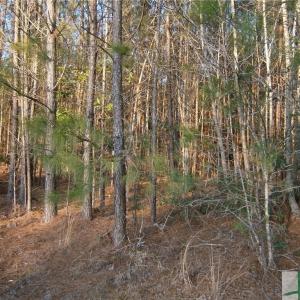 Photo #17 of TBD Dunham Williams, Hardeeville, SC 42.5 acres