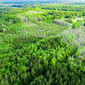 Photo #7 of TBD Dunham Williams, Hardeeville, SC 42.5 acres