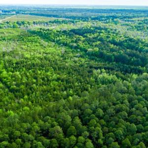 Photo #11 of TBD Dunham Williams, Hardeeville, SC 42.5 acres