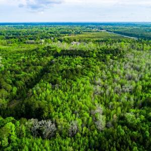 Photo #14 of TBD Dunham Williams, Hardeeville, SC 42.5 acres