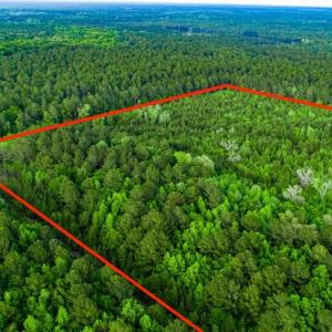 Photo #4 of TBD Dunham Williams, Hardeeville, SC 42.5 acres