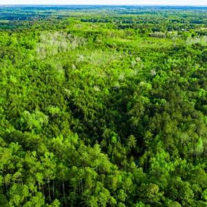 Photo #12 of TBD Dunham Williams, Hardeeville, SC 42.5 acres