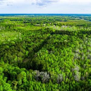 Photo #15 of TBD Dunham Williams, Hardeeville, SC 42.5 acres