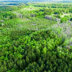 Photo #6 of TBD Dunham Williams, Hardeeville, SC 42.5 acres