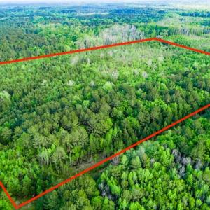 Photo #1 of TBD Dunham Williams, Hardeeville, SC 42.5 acres