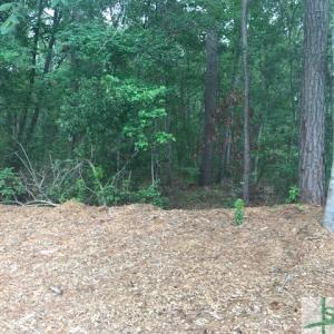 Photo #15 of TBD Lost Oak, Bluffton, SC 20.9 acres