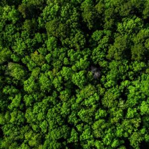 Photo #5 of TBD Lost Oak, Bluffton, SC 20.9 acres