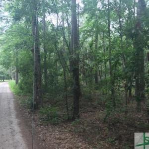 Photo #14 of TBD Lost Oak, Bluffton, SC 20.9 acres