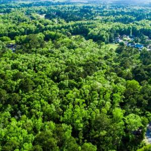 Photo #2 of TBD Lost Oak, Bluffton, SC 20.9 acres