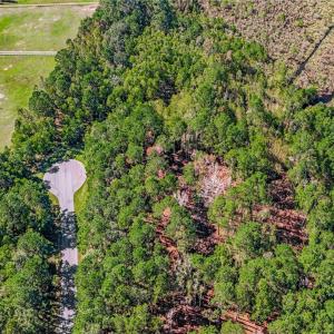 Lot 66 Telfair Plantation across street from SCAD