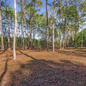 Lot 66 Telfair Plantation