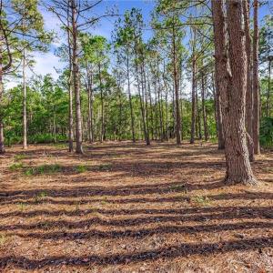 Lot 66 Telfair Plantation