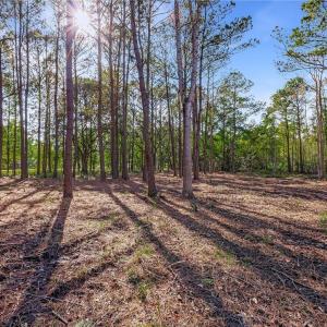 Lot 66 Telfair Plantation