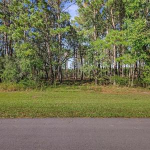 Street View Lot 66 Telfair Plantation