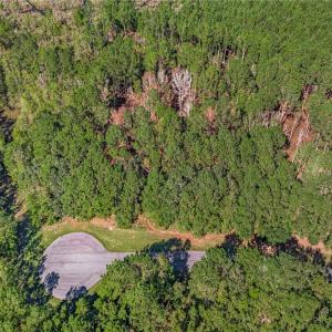 Lot 66 Telfair Plantation Cul de Sac at Hunter's L
