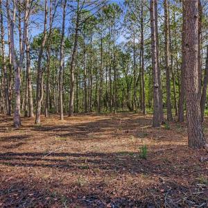Lot 66 Telfair Plantation