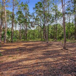 Lot 66 Telfair Plantation