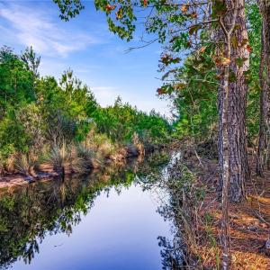 Lot 66 Telfair Plantation Kayak Trail