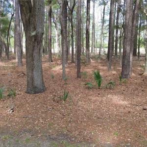 Photo #5 of 19 Masters, Daufuskie Island, SC 0.5 acres