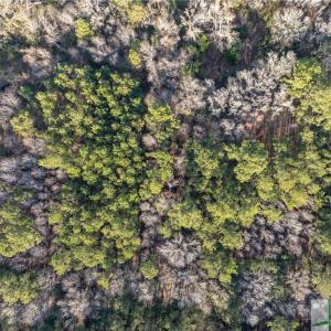 Photo #12 of 26 Swamprose, Seabrook, SC 0.9 acres