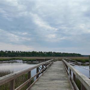 Community Dock