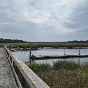 Community Dock