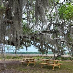 Community Picnic Area