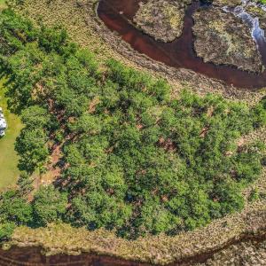 Photo #5 of 546 Hunters, Hardeeville, SC 3.4 acres