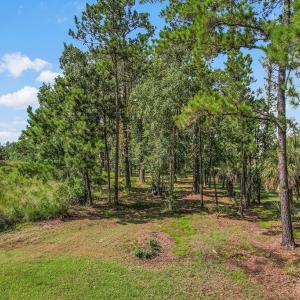 Photo #10 of 546 Hunters, Hardeeville, SC 3.4 acres