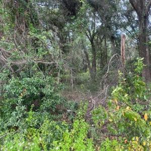 Photo #3 of 1236 Seaside Road, St Helena Island, SC 8.9 acres