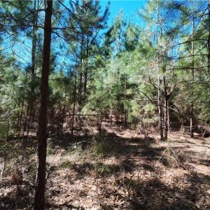 Photo #16 of TBD Firetower, Ridgeland, SC 2.1 acres