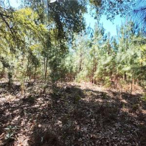 Photo #17 of TBD Firetower, Ridgeland, SC 2.1 acres