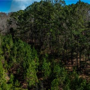 Photo #19 of TBD Firetower, Ridgeland, SC 2.1 acres