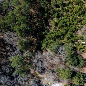 Photo #15 of TBD Firetower, Ridgeland, SC 2.1 acres