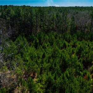 Photo #18 of TBD Firetower, Ridgeland, SC 2.1 acres