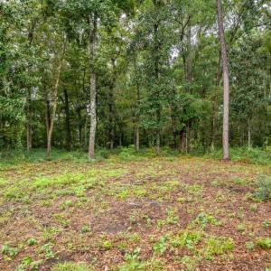 Photo #4 of 44 Presnell, Beaufort, SC 0.3 acres