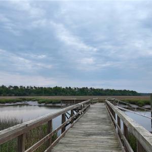 Rivers Reach Community Dock