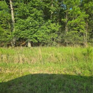 Photo #1 of 3131 Okatie Hwy, Bluffton, SC 9.7 acres